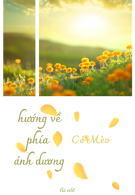 hướng về phía ánh dương